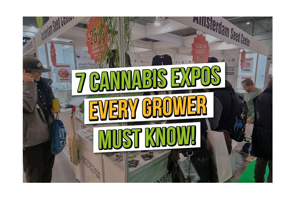 7 Cannabis Expos Every Grower Should Visit (Europe Edition)