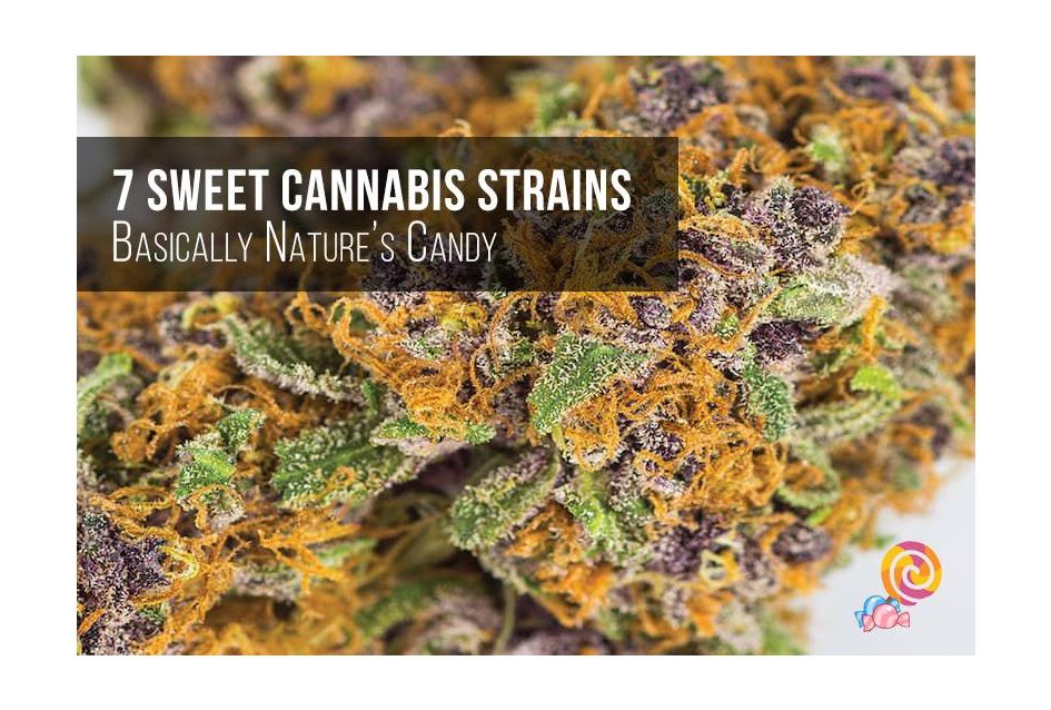 7 Sweet Cannabis Strains Your Dentist Recommends To Avoid