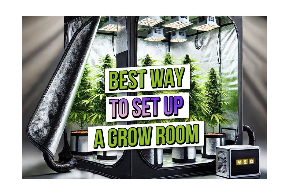A high-quality cannabis grow tent setup with LED grow lights and healthy plants