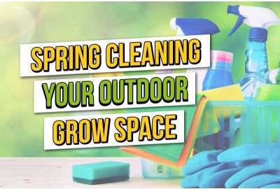 Spring Cleaning Your Cannabis Grow Space