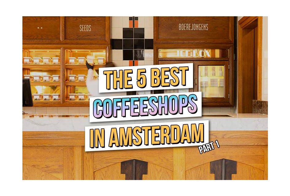 The 5 Best Coffeeshops in Amsterdam