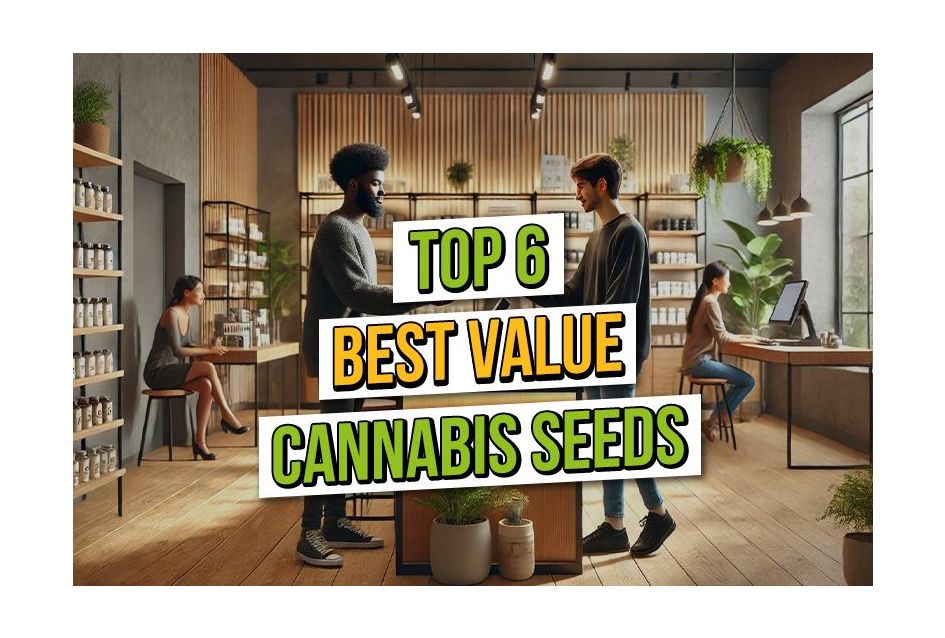 Best Value Cannabis Seeds Online at Amsterdam Seed Center