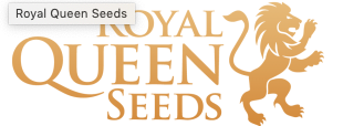 Royal Queen Seeds