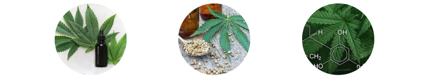 CBD Aerosol Nasal