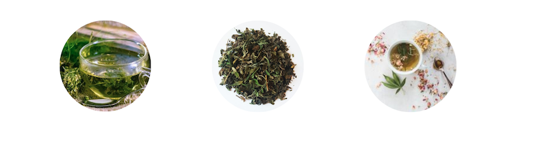 CBD Té