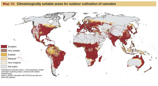 UNDOC Map Cannabis Cultivation UNDOC Map Cannabis Cultivation