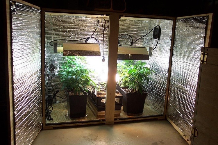 A homemade grow box lined with reflective insulation, equipped with grow lights and ventilation